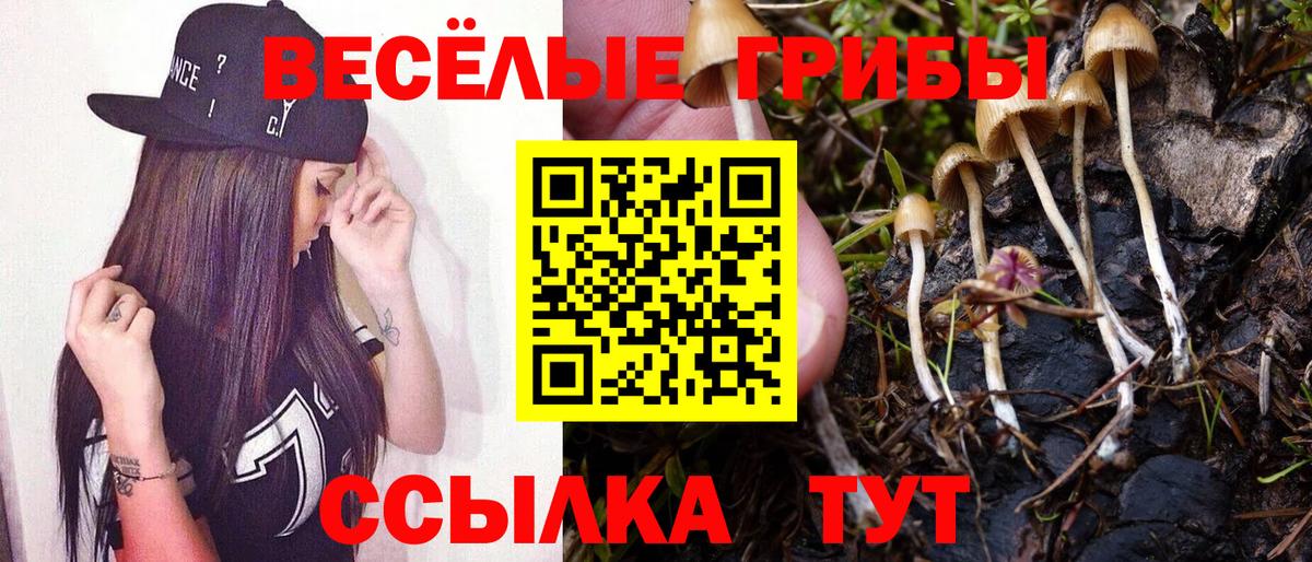 Галлюциногенные грибы мухоморы Лангепас