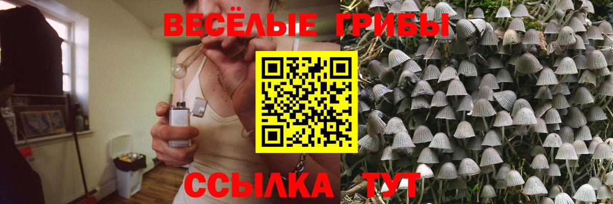 где купить   Вход с VPN  Галлюциногенные грибы мицелий  Лангепас  Псилоцибиновые грибы GOLDEN TEACHER 