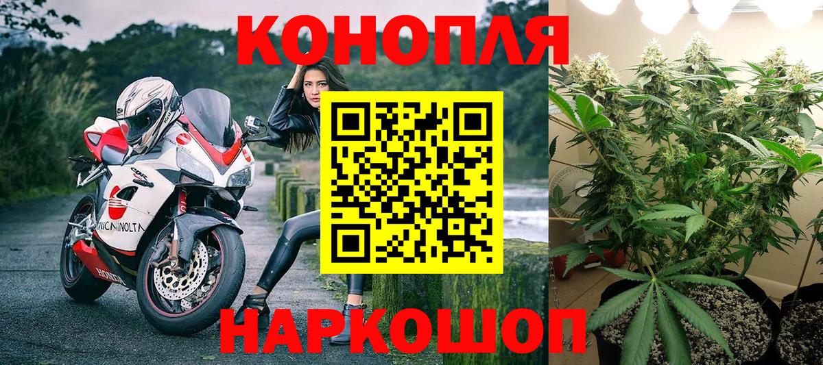 Конопля марихуана Лангепас